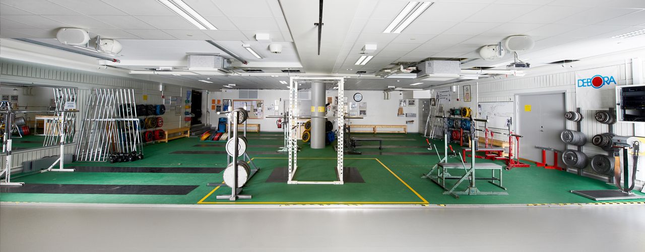 Lyftarflak med grönt golv och skivstänger